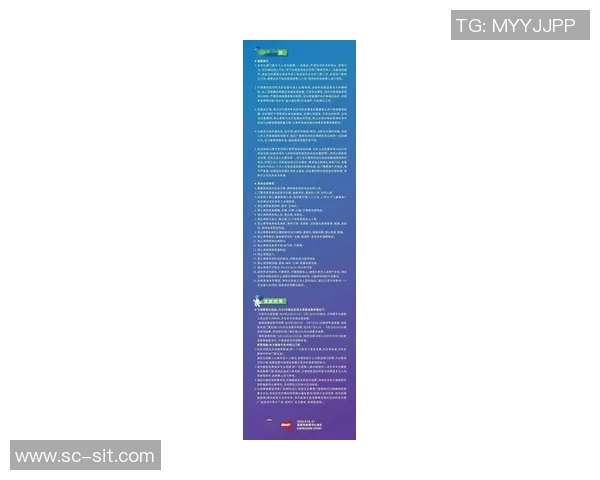 深圳羽毛球队创历史新高状态排名引发广泛关注与期待