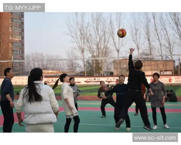 深圳排球队团队协作的创新变革与热议探讨