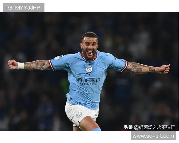 曼城足球明星的辉煌历程与成就解析，见证绿茵场上的传奇瞬间