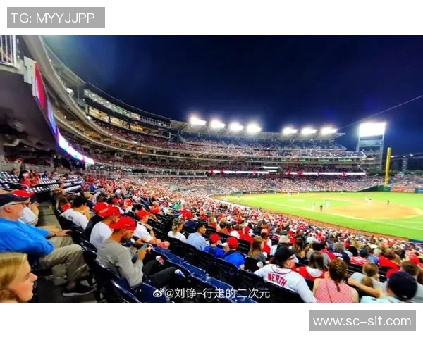 杨丽专访：从球场到人生的精彩旅程与篮球的深厚情缘