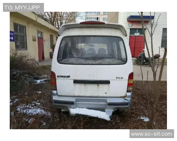 武汉篮球队在洲际杯积分榜上以66分稳居第一名引发关注