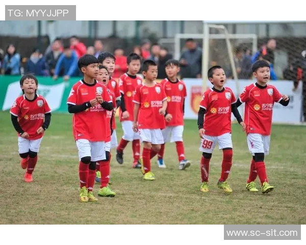 南京足球队在挑战赛中的技术表现分析与评估