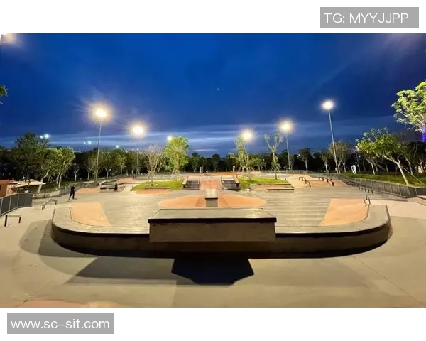 深圳滑板队逆袭之路探秘与城市文化的碰撞与融合