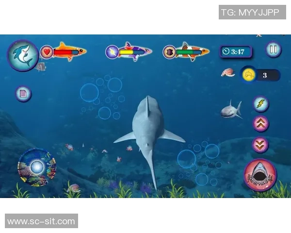 水怪与足球的奇幻冒险：海底世界的绿茵传奇