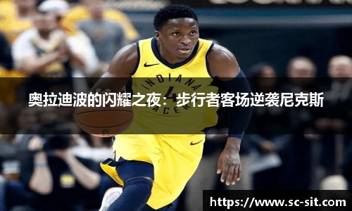 乐玩国际