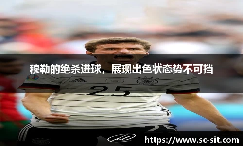 乐玩lewin国际