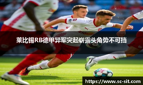 乐玩lewin国际
