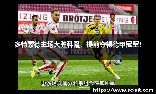 多特蒙德主场大胜科隆，提前夺得德甲冠军！