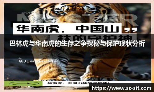 巴林虎与华南虎的生存之争探秘与保护现状分析